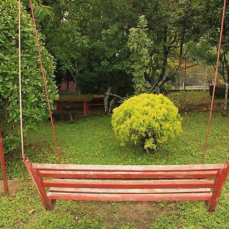 Gajanovic Rooms Donji Milanovac Dış mekan fotoğraf